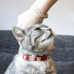 Pettsie Cotton Breakaway Cat Collar With Friendship Bracelet -Pawfect Care 139122 PT6. AC SS1800 V1507064998