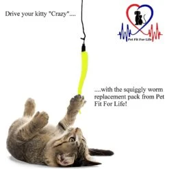 Pet Fit For Life 5 Piece Squiggly Worm Replacement Pack For Wand Cat Toy -Pawfect Care 140076 PT1. AC SS1800 V1614610291