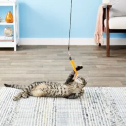 Pet Fit For Life 5 Piece Squiggly Worm Replacement Pack For Wand Cat Toy -Pawfect Care 140076 PT6. AC SS1800 V1545251024