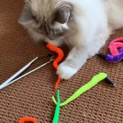 Pet Fit For Life 5 Piece Squiggly Worm Wand Cat Toy -Pawfect Care 140078 PT2. AC SS1800 V1589320918