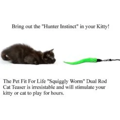 Pet Fit For Life 5 Piece Squiggly Worm Wand Cat Toy -Pawfect Care 140078 PT3. AC SS1800 V1589320919