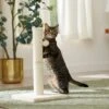 Frisco 21-in Sisal Cat Scratching Post With Toy -Pawfect Care 140149 MAIN. AC SS1800 V1665765071