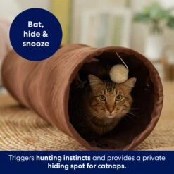 Frisco 35-in Foldable Crinkle Play Tunnel With 1 Window -Pawfect Care 140166 PT3. AC SS1800 V1695670685