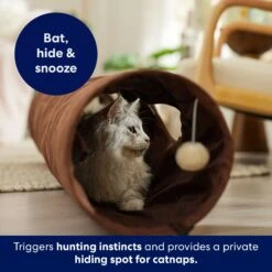 Frisco 47-in Foldable Crinkle Play Tunnel With 2 Windows 10 Frisco 47-in Foldable Crinkle Play Tunnel With 2 Windows -Pawfect Care 140168 PT3. AC SS1800 V1695241917