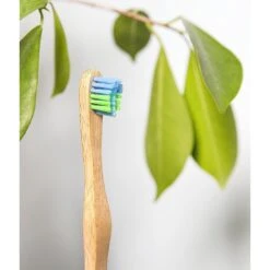 Woobamboo Small Dog & Cat Toothbrush -Pawfect Care 140584 PT6. AC SS1800 V1510674529