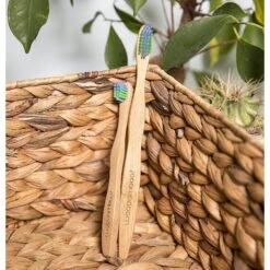 Woobamboo Small Dog & Cat Toothbrush -Pawfect Care 140584 PT7. AC SS1800 V1510674531