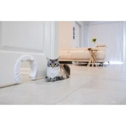 Purrfect Portal Original Interior Cat Door -Pawfect Care 141174 PT5. AC SS1800 V1603301784