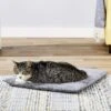 K.T. Manufacturing Purr Padd Cat Bed Mat -Pawfect Care 141224 MAIN. AC SS1800 V1565977334