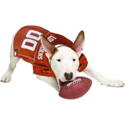 Pets First NCAA Dog & Cat Jersey, Texas Longhorns -Pawfect Care 142131 PT3. AC SS1800 V1538433146