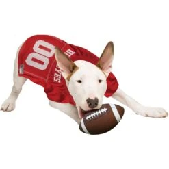 Pets First NCAA Dog & Cat Jersey, Ohio State Buckeyes 13 Pets First NCAA Dog & Cat Jersey, Ohio State Buckeyes -Pawfect Care 142138 PT4. AC SS1800 V1538435585