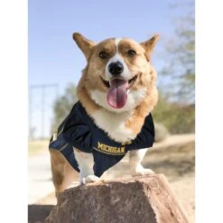 Pets First NCAA Dog & Cat Jersey, Michigan Wolverines -Pawfect Care 142152 PT4. AC SS1800 V1538435632