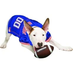 Pets First NCAA Dog & Cat Jersey, Florida Gators -Pawfect Care 142159 PT3. AC SS1800 V1538433248