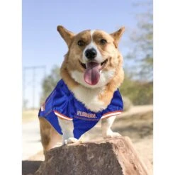 Pets First NCAA Dog & Cat Jersey, Florida Gators -Pawfect Care 142159 PT4. AC SS1800 V1538435835
