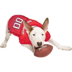 Pets First NCAA Dog & Cat Jersey, Georgia Bulldogs 12 Pets First NCAA Dog & Cat Jersey, Georgia Bulldogs -Pawfect Care 142173 PT3. AC SS1800 V1538433417
