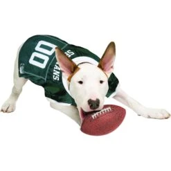 Pets First NCAA Dog & Cat Jersey, Michigan State Spartans -Pawfect Care 142181 PT3. AC SS1800 V1538433426
