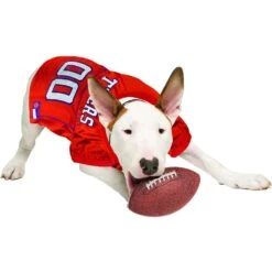 Pets First NCAA Dog & Cat Mesh Jersey -Pawfect Care 142188 PT3. AC SS1800 V1538433441