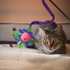 KONG Laser Teaser Cat Toy -Pawfect Care 143207 PT2. AC SS1800 V1631762885