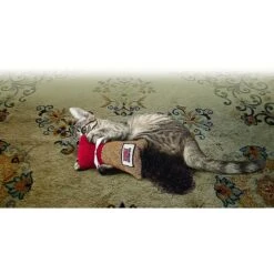 KONG Kickeroo Cuddler Cat Toy, Color Varies -Pawfect Care 143209 PT4. AC SS1800 V1603153886