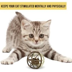 Pet Zone Ball Of Furry Fury Cat Toy With Catnip -Pawfect Care 144159 PT4. AC SS1800 V1639090912