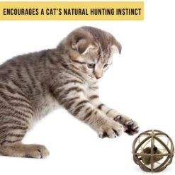 Pet Zone Ball Of Furry Fury Cat Toy With Catnip -Pawfect Care 144159 PT5. AC SS1800 V1639092405