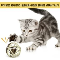 Pet Zone Ball Of Furry Fury Cat Toy With Catnip -Pawfect Care 144159 PT6. AC SS1800 V1639092747