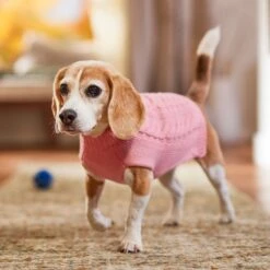 Frisco Dog & Cat Cable Knitted Sweater -Pawfect Care 144254 PT5. AC SS1800 V1541456525