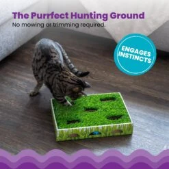 Catstages Grass Patch Hunting Box Cat Scratcher Toy -Pawfect Care 148104 PT2. AC SS1800 V1631679976