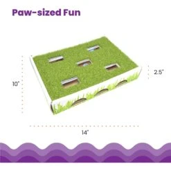 Catstages Grass Patch Hunting Box Cat Scratcher Toy -Pawfect Care 148104 PT4. AC SS1800 V1631685751