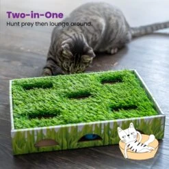 Catstages Grass Patch Hunting Box Cat Scratcher Toy -Pawfect Care 148104 PT5. AC SS1800 V1631689013