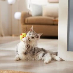 Ethical Pet A-Door-Able Bouncing Bird With Feather Tail Cat Toy With Catnip, Color Varies -Pawfect Care 152172 PT4. AC SS1800 V1682711113