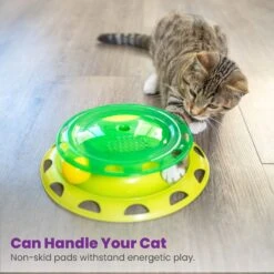 Catstages Outward Hound Catnip Chaser Cat Toy -Pawfect Care 152314 PT5. AC SS1800 V1631680329