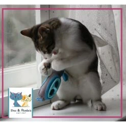 Doc & Phoebe's Cat Co. Indoor Hunting Cat Feeder Kit -Pawfect Care 152320 PT5. AC SS1800 V1536607925