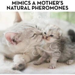 ThunderEase Multi-Cat Calming Diffuser Refill For Cats, 30 Day -Pawfect Care 152657 PT3. AC SS1800 V1689356458