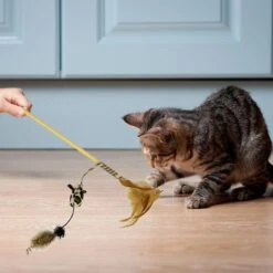 Pet Zone Tiger Teaser Wand Cat Toy With Catnip, Color Varies -Pawfect Care 152692 PT4. AC SS1800 V1647916916
