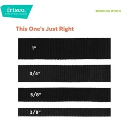 Frisco Nylon Breakaway Cat Collar With Bell -Pawfect Care 153148 PT6. AC SS1800 V1629992798