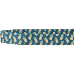 Frisco Pineapple Polyester Breakaway Cat Collar With Bell -Pawfect Care 153158 PT3. AC SS1800 V1568380088