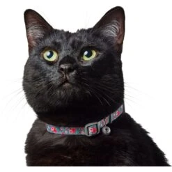 Frisco Rose Polyester Breakaway Cat Collar With Bell -Pawfect Care 153160 PT3. AC SS1800 V1701796877
