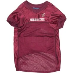 Pets First NCAA Dog & Cat Jersey, Florida State -Pawfect Care 153257 PT2. AC SS1800 V1541438529
