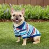 Frisco Striped Dog & Cat Polo Shirt, Red & Blue -Pawfect Care 153590 MAIN. AC SS1800 V1674158971
