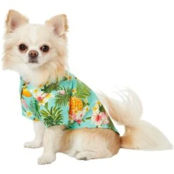 Frisco Pineapple Hawaiian Camp Dog & Cat Shirt -Pawfect Care 153596 PT3. AC SS1800 V1673361409
