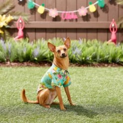Frisco Pineapple Hawaiian Camp Dog & Cat Shirt -Pawfect Care 153596 PT7. AC SS1800 V1644884316