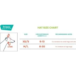 Frisco Happy Birthday Dog & Cat Crown -Pawfect Care 153665 PT1. AC SS1800 V1551134610