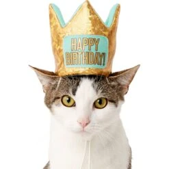 Frisco Happy Birthday Dog & Cat Crown -Pawfect Care 153665 PT2. AC SS1800 V1551230979