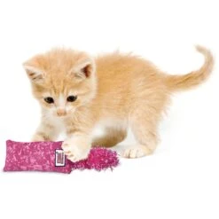KONG Kickeroo Kitten Toy, Color Varies -Pawfect Care 154026 PT2. AC SS1800 V1539711429