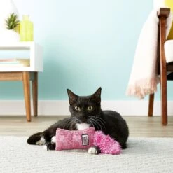 KONG Kickeroo Kitten Toy, Color Varies -Pawfect Care 154026 PT3. AC SS1800 V1605343918