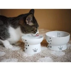 Necoichi Ceramic Elevated Cat Food & Water Bowl Set -Pawfect Care 154902 PT1. AC SS1800 V1542038816