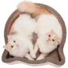 Necoichi Cat Head Scratcher Bed -Pawfect Care 154905 MAIN. AC SS1800 V1646413287