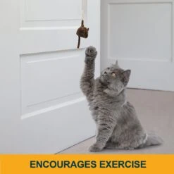 OurPets Batting Practice Interactive Cat Toy -Pawfect Care 155007 PT2. AC SS1800 V1634833960