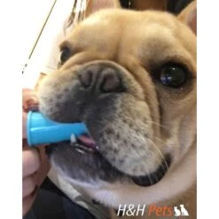 H&H Pets Finger Dog & Cat Toothbrush -Pawfect Care 157146 PT5. AC SS1800 V1617323493