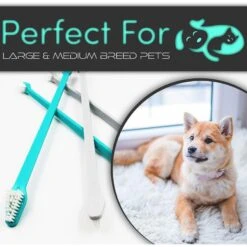 H&H Pets Dual Headed Dog & Cat Toothbrush -Pawfect Care 157153 PT1. AC SS1800 V1702056701
